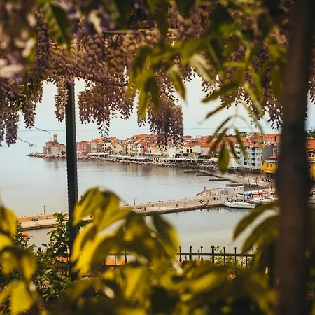 Apartman Bruna Piran