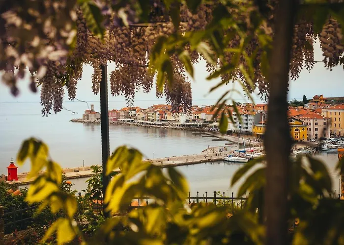 Lägenhet Bruna Piran